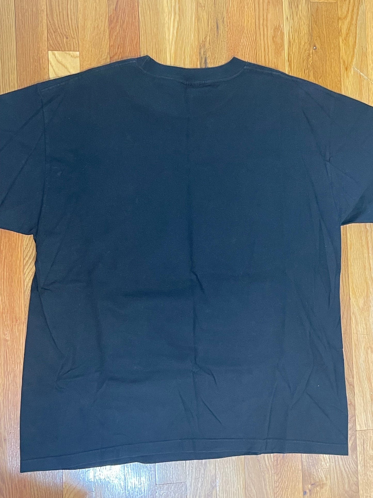 WWF 1998 D Generation X CHYNA Shawn Triple H