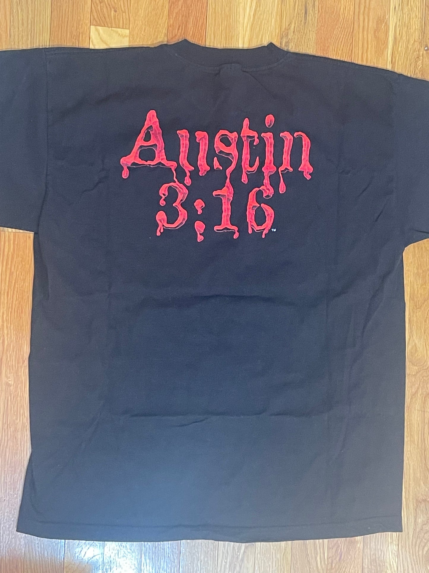 WWF 1998 Stone Cold Steve Austin 3:16 Blood Rattlesnake